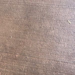 Meet your Posher, Jake